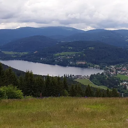 Oskar Im Baerenhuesli Appartement Titisee-Neustadt
